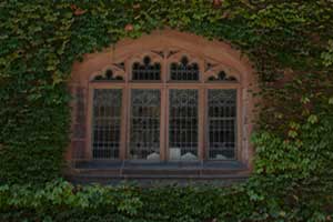 Ivy covered stone wall around a pane glass window in rinceton, New Jersey